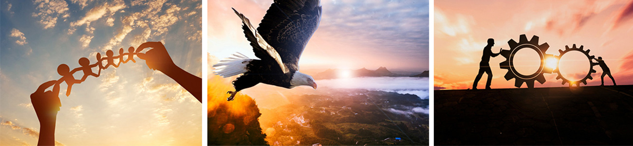 簡介.jpg 簡介.jpg